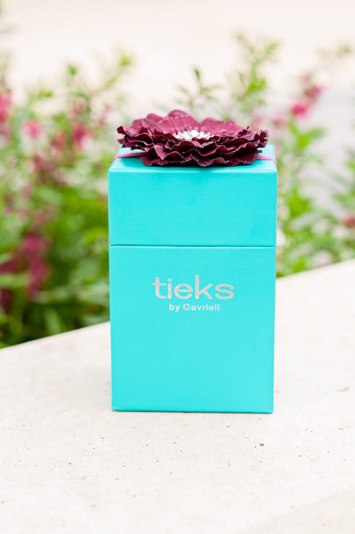 Tieks…A worthy Investment? – Courthouse Couture